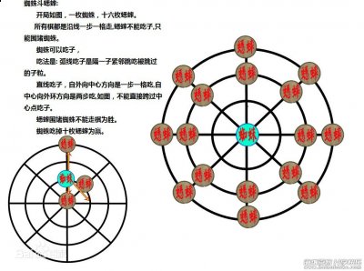 蜘蛛斗蟋蟀 