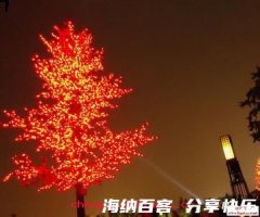 火树银花的故事 - 火树银花典故 - 成语故事 