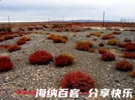 贫贱骄人的故事 - 贫贱骄人典故 - 成语故事 