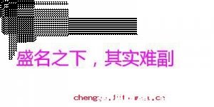盛名之下，其实难副的故事 - 盛名之下，其实难副典故 - 成语故事 