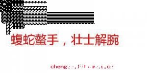 壮士解腕的故事 - 壮士解腕典故 - 成语故事 