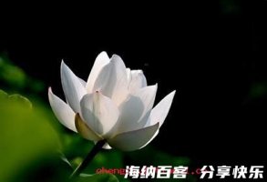 一尘不染的故事 - 一尘不染典故 - 成语故事 